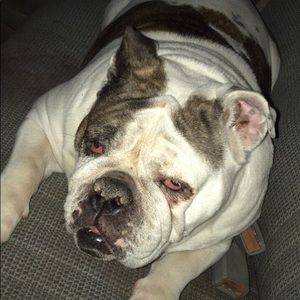 Meet your Posher, Pablo